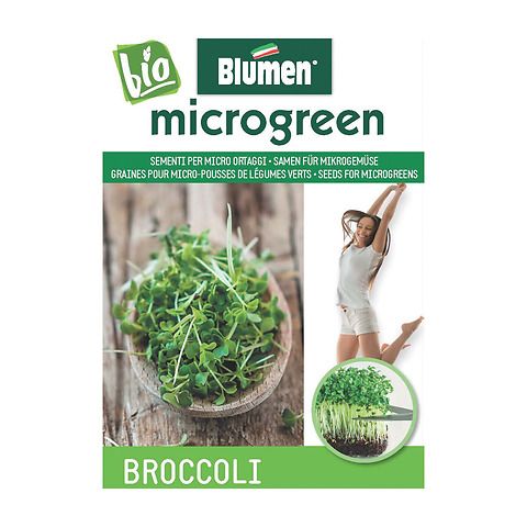 Semi bio per micro ortaggi broccoli