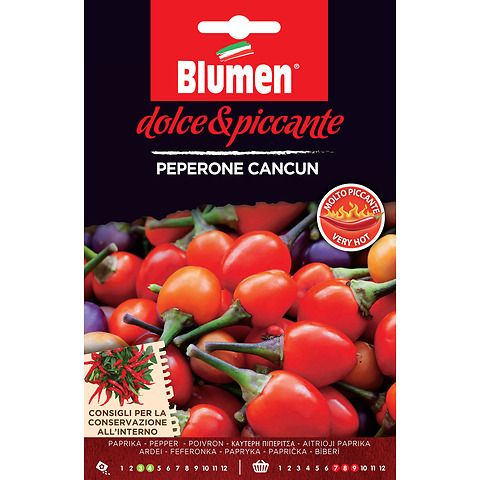 Semi peperone piccante cancun