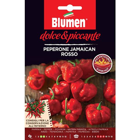 Semi peperone piccante jamaican rosso
